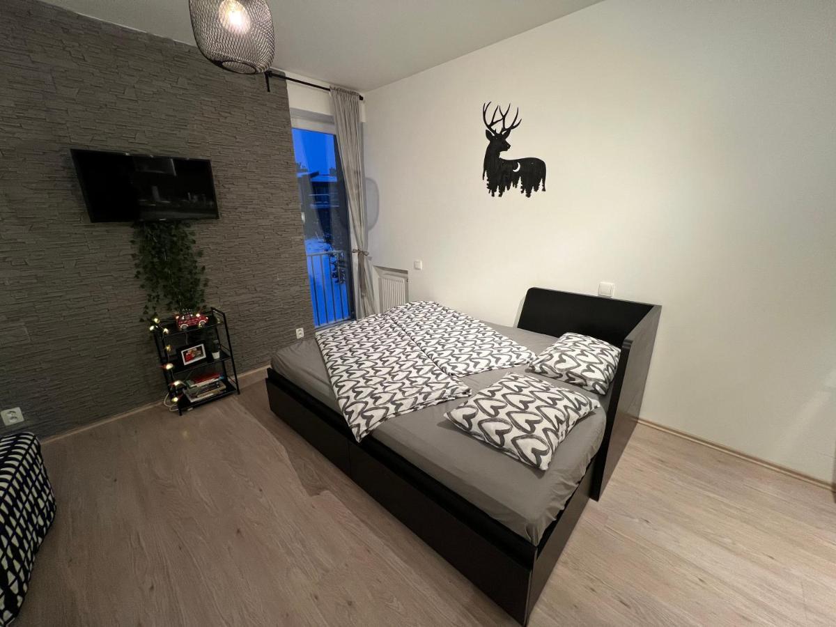 New Nelis Apartment Klinovec Loučná pod Klínovcem Exteriör bild