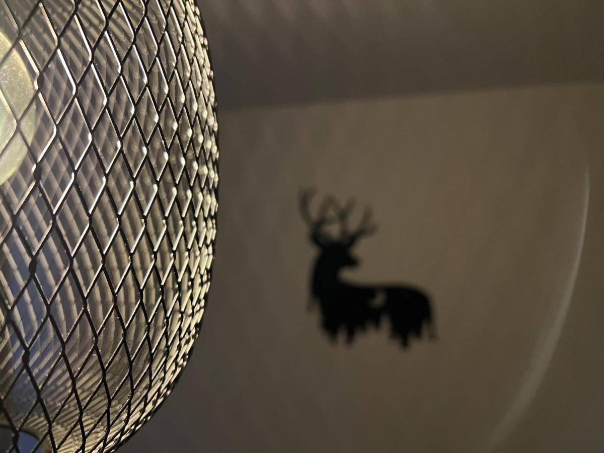 New Nelis Apartment Klinovec Loučná pod Klínovcem Exteriör bild